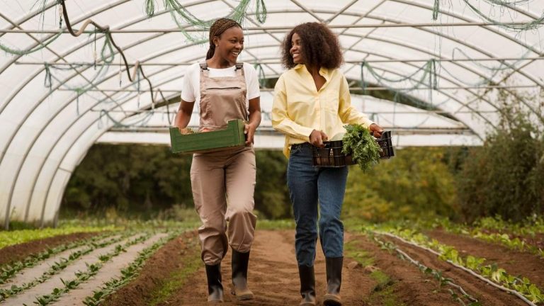 Aragón kommer att hjälpa unga människor på landsbygden att skapa ett företag från grunden eller att marknadsföra det om de redan har ett