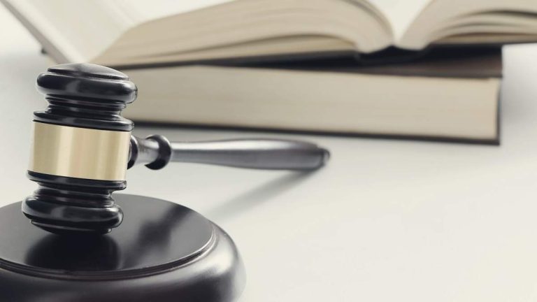 Högsta domstolen har utökat målen om skattestöd till egenföretagare i moduler