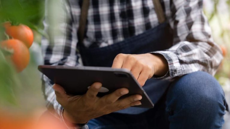 Regeringen lanserar den digitala anteckningsboken för 2024 trots önskemål från…