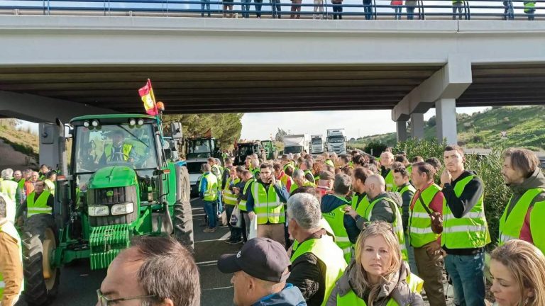 Agrarföreningar uppmanar egenföretagare till en ny protest i Madrid den 26 februari