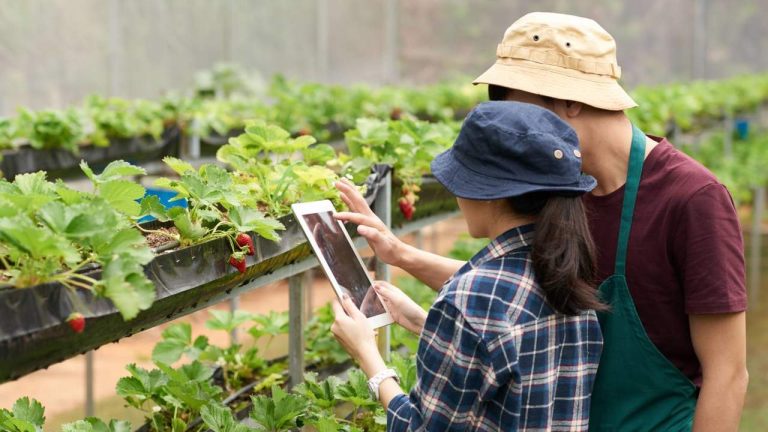 Bönderna kräver att regeringen omedelbart godkänner den nya familjejordbrukslagen