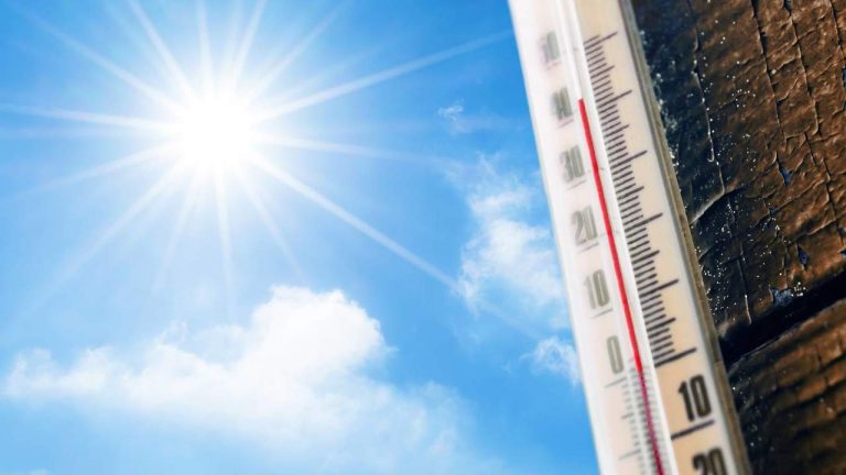 Yrkesinspektionen skickar över 100 000 brev till företag om risker på grund av höga temperaturer