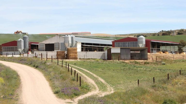 UPA säkerställer att egenföretagare inte behöver anlita en gårdsveterinär