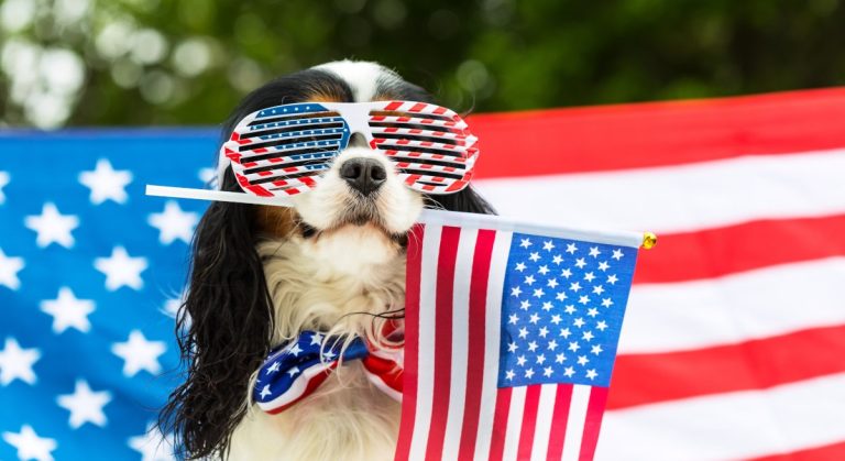 9 amerikanska företag anställer i Irland just nu