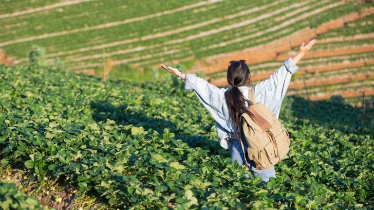 UPA kommer att dela ut 2 000 euro till årets fyra mest hållbara egenföretagare och ranchägare