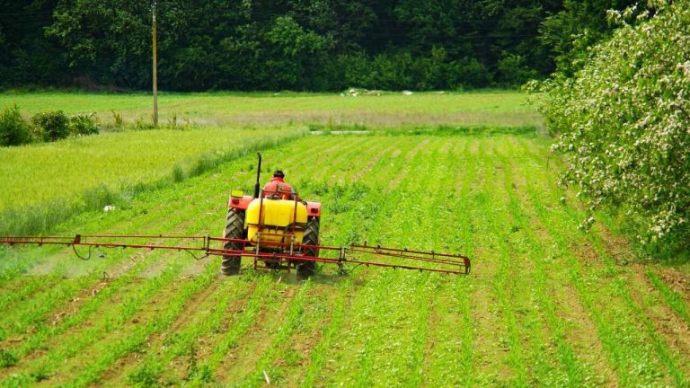 Andalusiska jordbrukare kommer att dela ut 22 miljoner euro för att investera i sin verksamhet