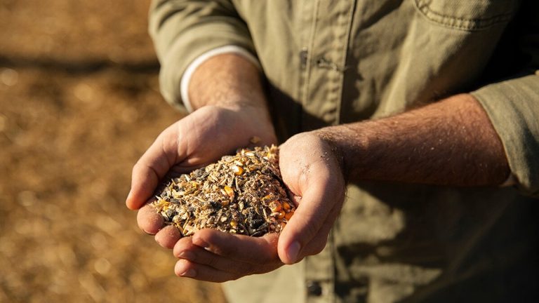 Två företagare har skapat en virtuell fiskmarknad där 6 000 jordbrukare redan säljer utan mellanhänder