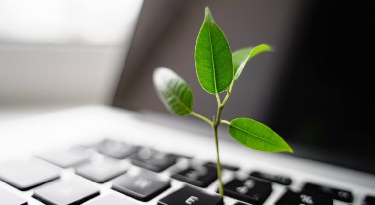 Must-Have STEM-färdigheter för en hållbarhetskarriär