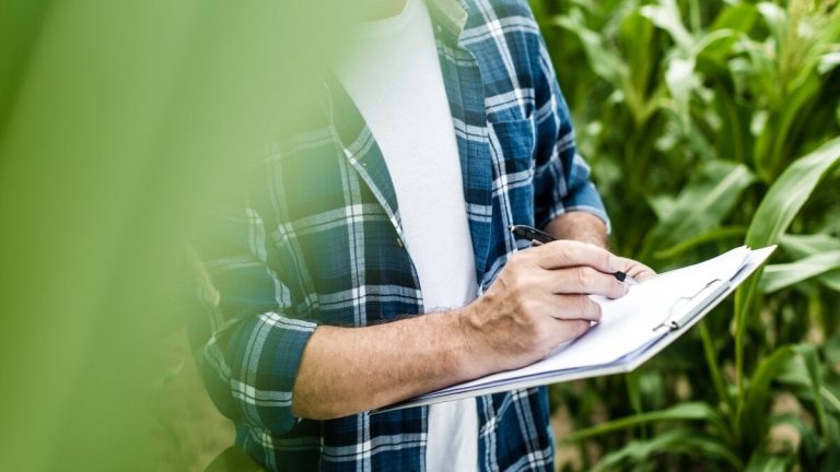 Mer än 150 miljoner för återhämtning och modernisering av jordbrukssektorn i Valencia
