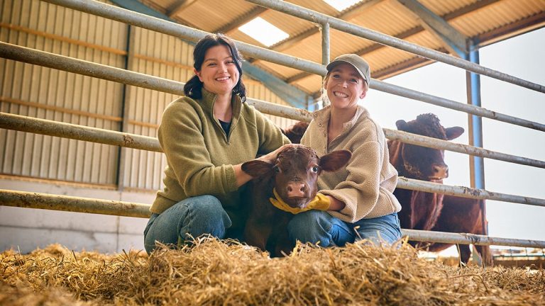 Nedräkning för unga Valencian -jordbrukare att begära stöd på upp till 140 000 euro