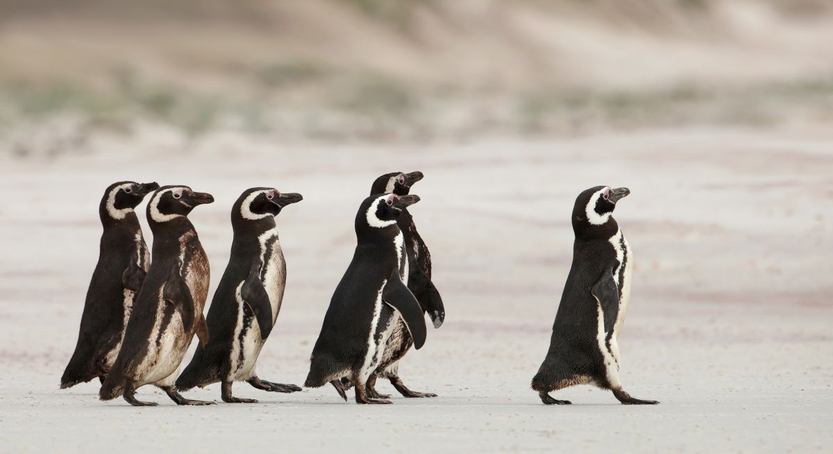 4 sätt att bli en mer framgångsrik ledare