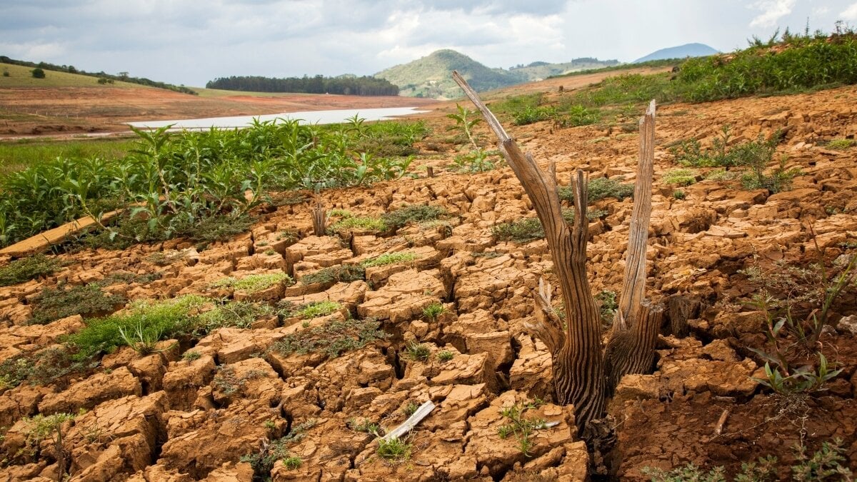 Regeringen publicerar en ny uppmaning till hjälp för det autonoma området med torka