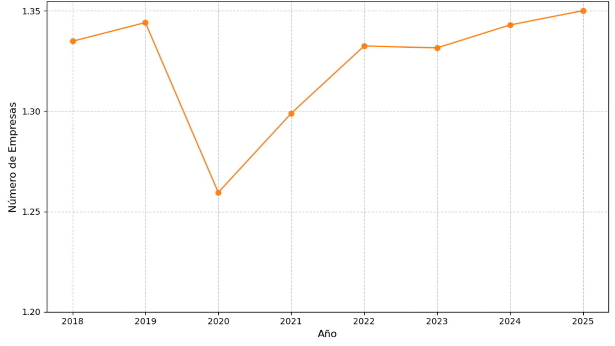 Utveckling av det totala antalet företag (egen utarbetande med uppgifter från ekonomiministeriet).