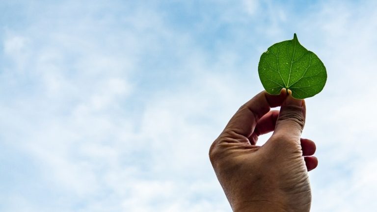 ATA lär sig självarbetslösa hur de kan vara hållbara och gröna från nollminutten