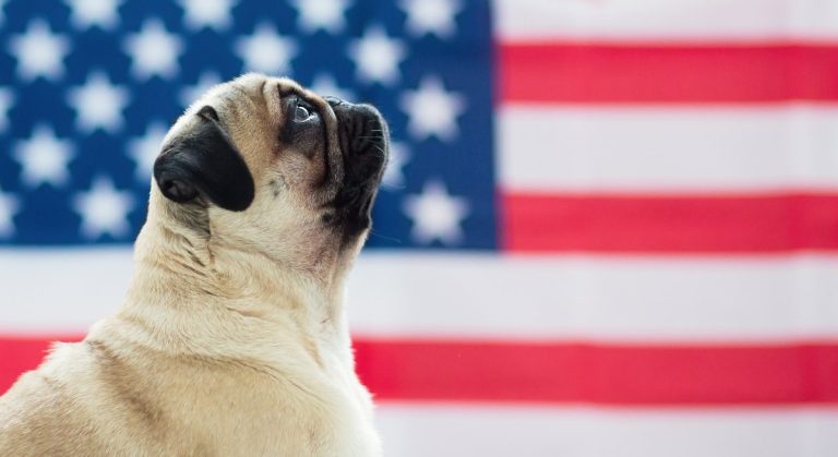 10 amerikanska företag som anställer i Irland just nu