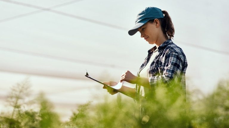 Vilka är de självarbetslösa sektorerna som de flesta besöker arbetskraftsinspektionen?