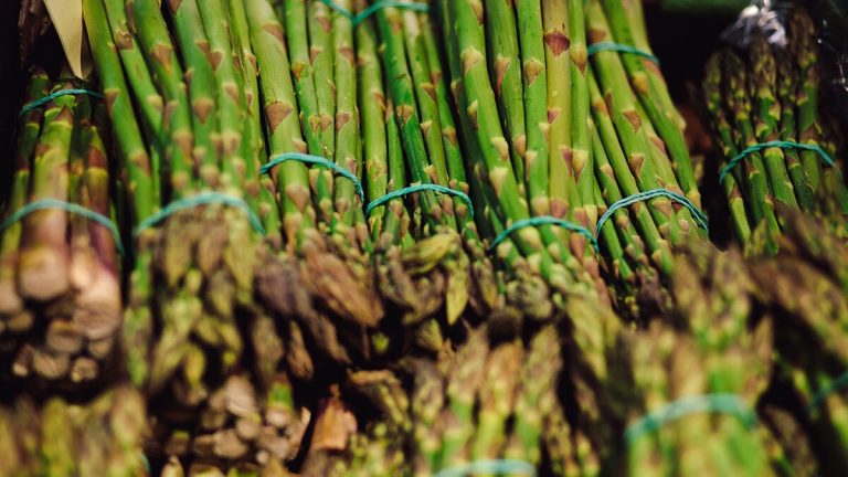 Nytt stöd i Navarra så att bönderna moderniserar sina företag