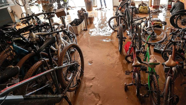 Solidaritetsnätverket som räddade tusentals frilansare för årets Dana, autonoma utmärkelsen 2025