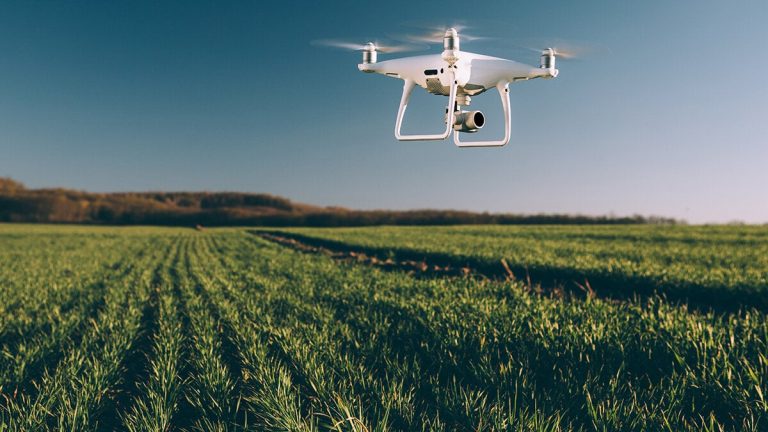 Autonoma och mikropymer från Extremadura kan återhämta sig upp till 50% av vad de investerar i maskiner