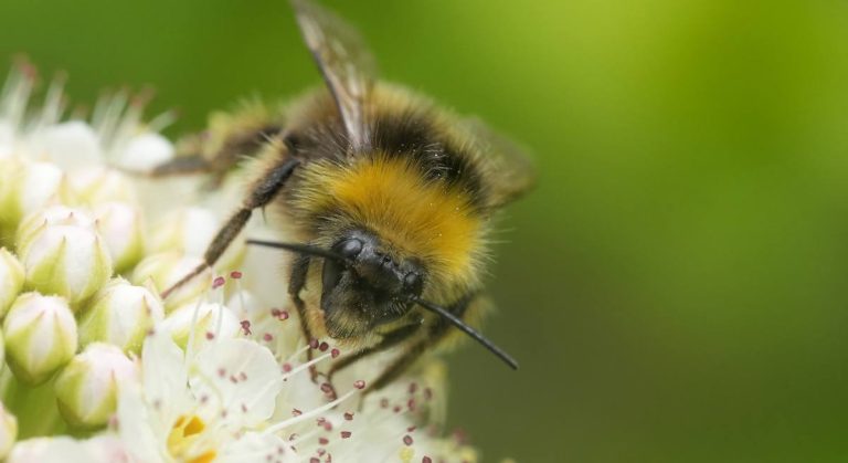 Hur man hanterar företagsjargong