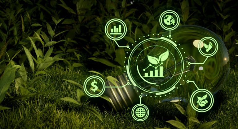 Tredje av irländska arbetssökande betraktar företaget ESG innan de ansöker om en roll