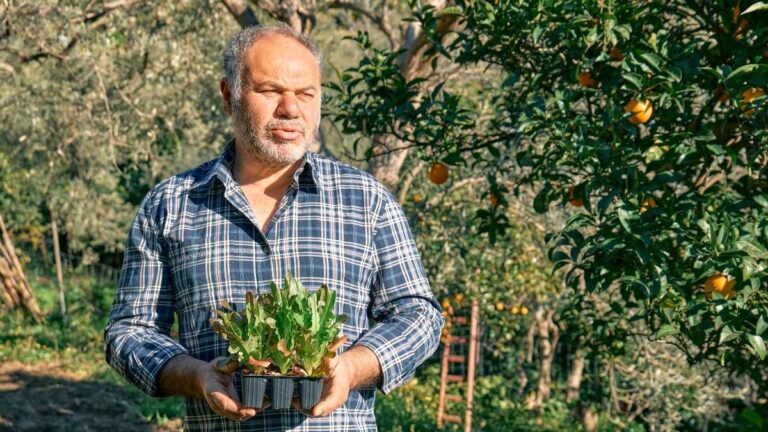 TS förbättrar villkoren för pensionerad självföretag som debiterar pensionen och specifika jobb
