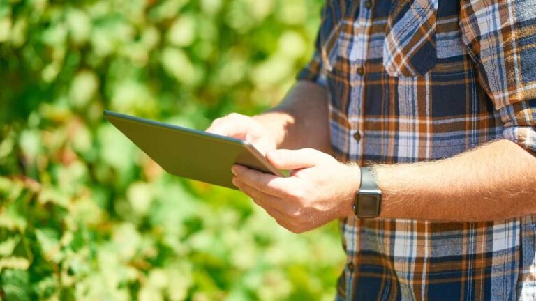 600 000 egenföretagare och jordbrukare kunde skjuta upp den digitala anteckningsboken