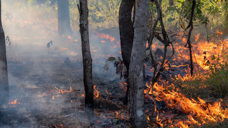 Notarier undertecknar ett nytt protokoll för att agera vid katastrofer som DANA och hjälpa företag