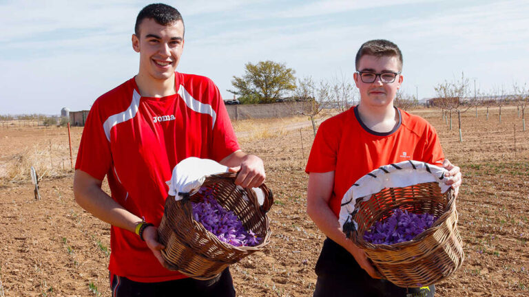 Den spanska landsbygden kräver att den europeiska strategin att införliva ungdomar tillämpas nu för att rädda familjejordbruket