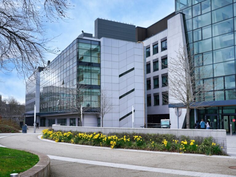 Irlands största cancerforskningsprogram får 28 miljoner euro för ny fas