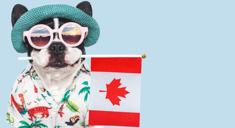 Vilka kanadensiska företag rekryterar denna Thanksgiving?