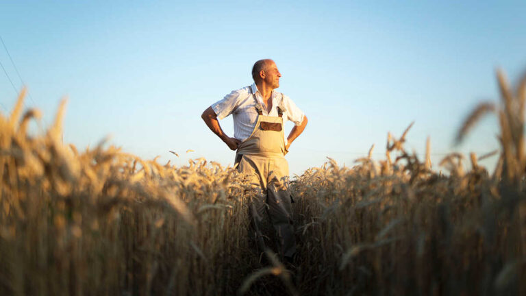 två bondepar uppnår förlåtelse för 1,5 miljoner