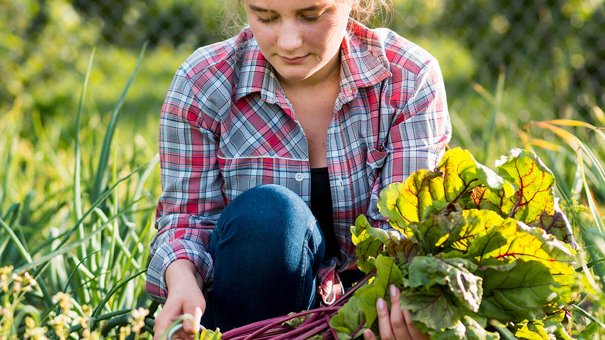 kvinnor och de under 34 år skapar nya företag