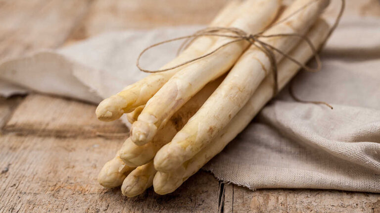 Navarra moderniserar sin jordbruks-livsmedelssektor med 12,6 miljoner till industriella små och medelstora företag