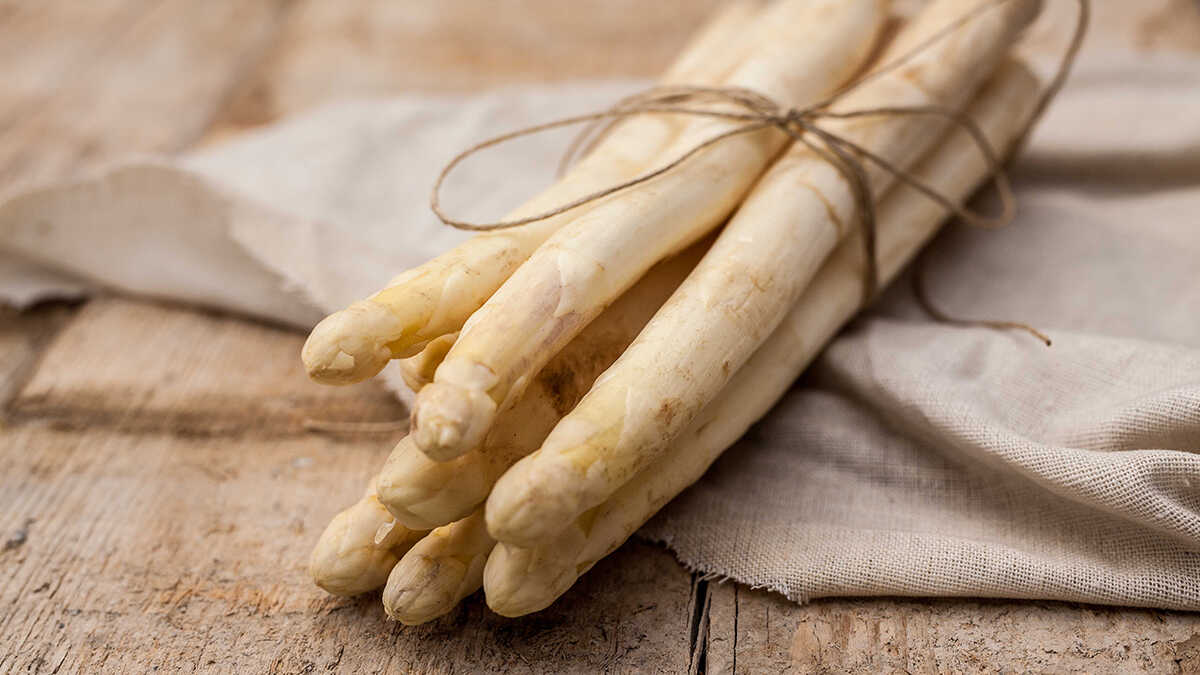 Navarra moderniserar sin jordbruks-livsmedelssektor med 12,6 miljoner till industriella små och medelstora företag