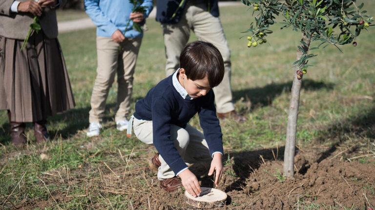 Två entreprenörer återuppfinner begravningssektorn med en personlig modell mitt i naturen