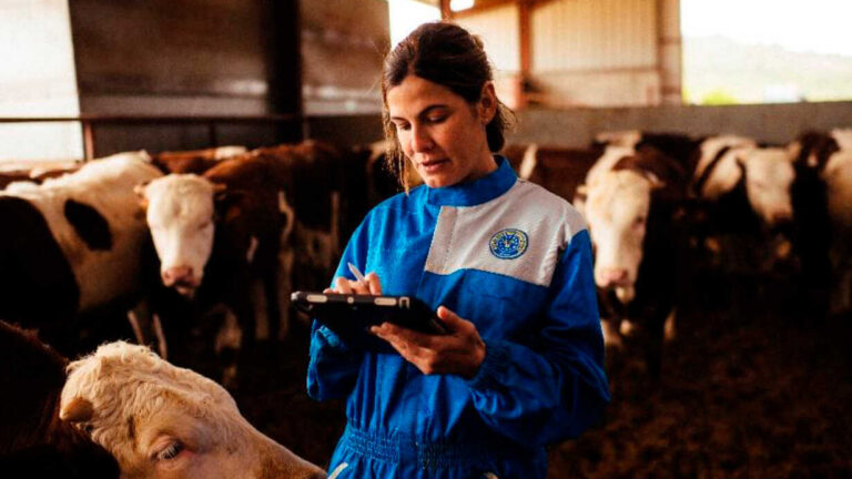 Boskapsuppfödare och slakterier kommer med en app att kunna veta vilka verkliga föroreningar de genererar och minska sina utsläpp