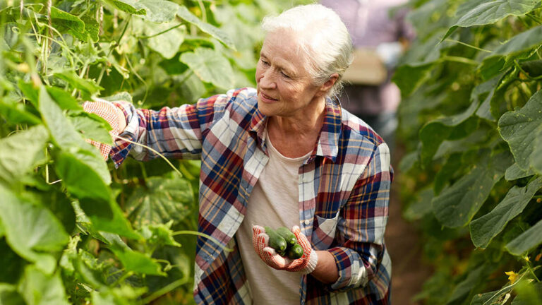 Det är dessa misstag som kan få en jordbrukare att förlora den gemensamma jordbrukspolitiken efter att han gått i pension