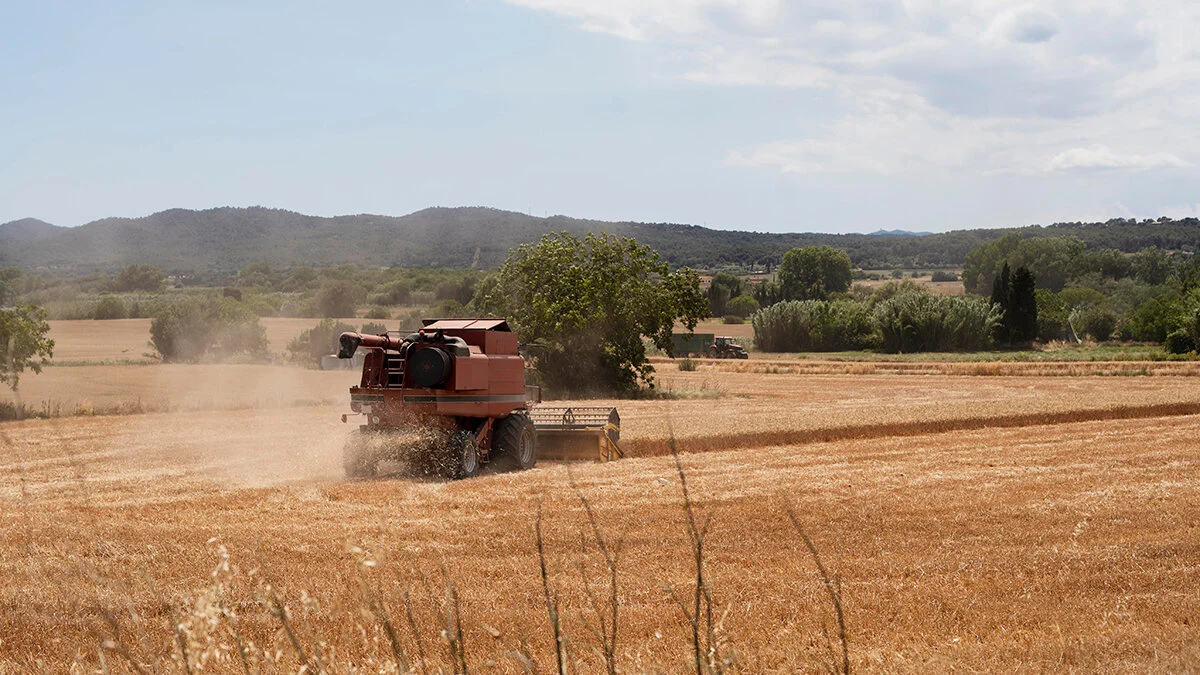 Detta är det nya stödet för egenföretagare på landsbygden som drabbats av stormen i Andalusien och Extremadura