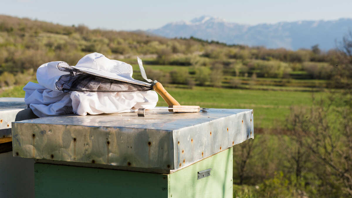 de utelämnar en del