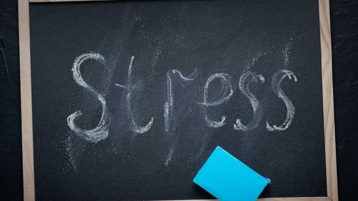 Vetenskapen visar att entreprenörskap ökar stressen: egenföretagare registrerar 53 % högre nivåer