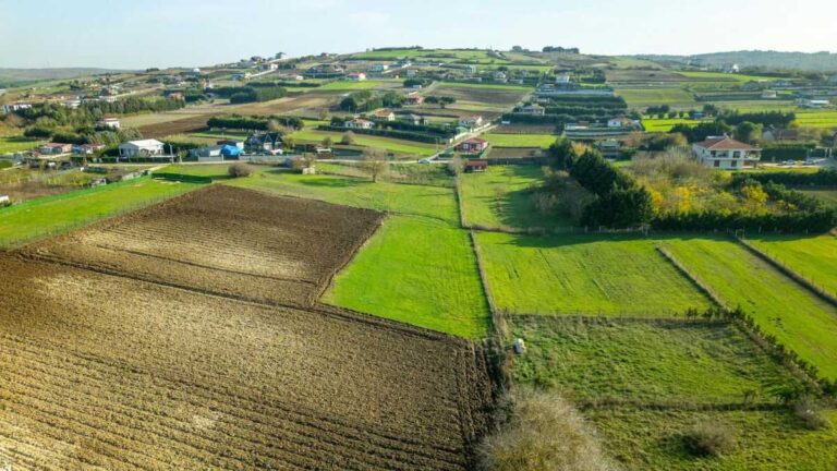 Ambulerande frilansare tar med sig frisör-, hälso- och andra tjänster till tömda Spanien
