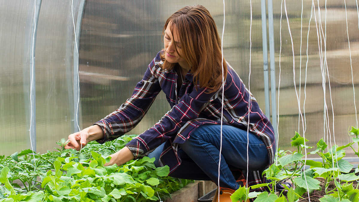 Rättvisa stöder taket på 200 000 euro i CAP-stöd: mindre för stora jordbrukare och mer för småbönder.