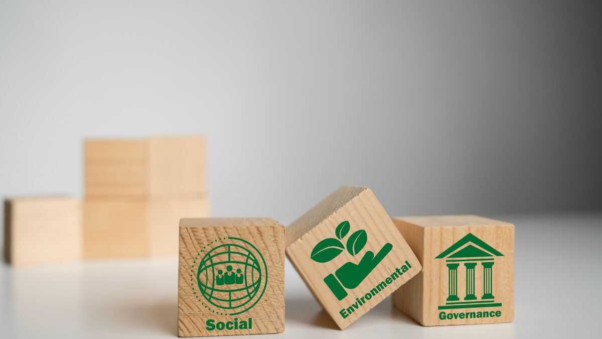 Den nya lagen om social ekonomi gör det lättare för små och medelstora företag inom denna sektor att få tillgång till fler offentliga kontrakt