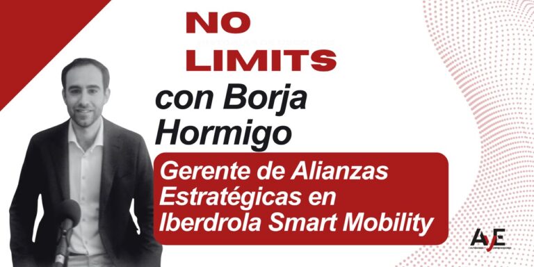 ”Elbilen är redan det mest effektiva alternativet för företag och egenföretagare”