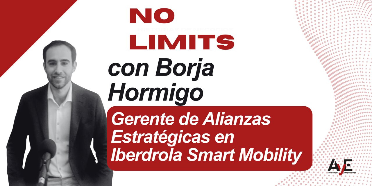 "Elbilen är redan det mest effektiva alternativet för företag och egenföretagare"