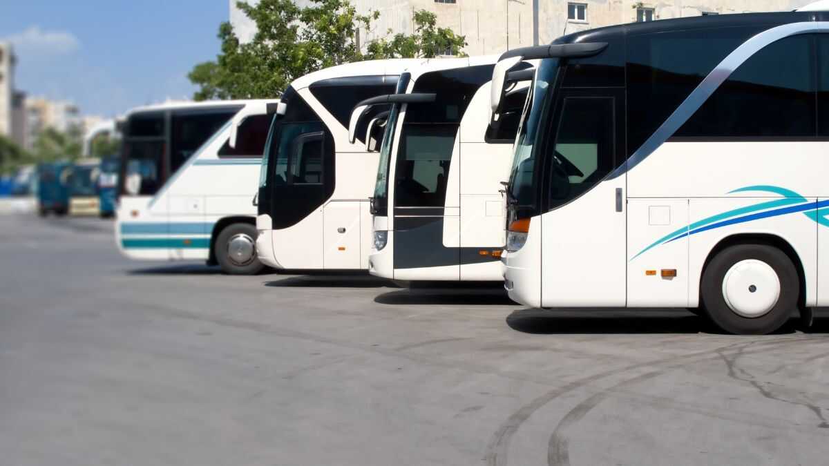 Domarna förlamar det nya bussbolaget Renfe som skulle konkurrera med tusentals små och medelstora företag i sektorn