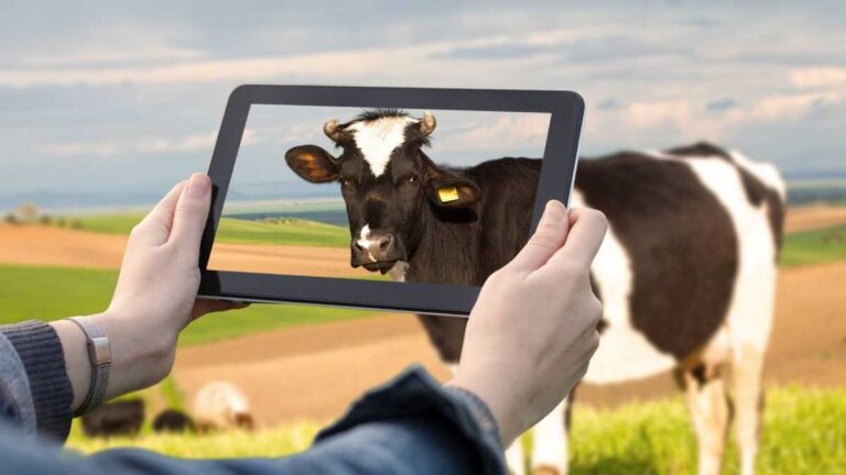 Små landsbygdsföretag står inför digitaliseringen av landsbygden med färre resurser trots IoT:s frammarsch
