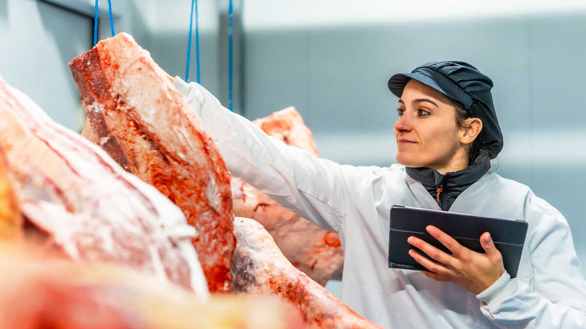 Egenföretagare och små och medelstora livsmedelsföretag i Aragon kommer att kunna begära upp till en miljon euro för att köpa maskiner